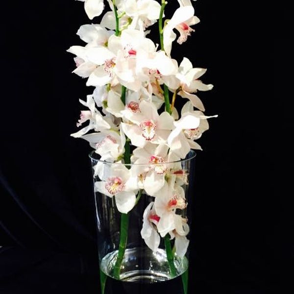 Dauerbegrünung und Blumenschmuck für Firmen von Blumen Flaschka (4)