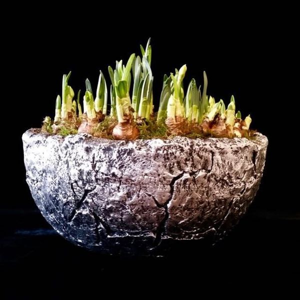 Dauerbegrünung und Blumenschmuck für Firmen von Blumen Flaschka (5)