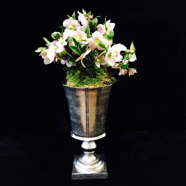 Dauerbegrünung und Blumenschmuck für Firmen von Blumen Flaschka (6)