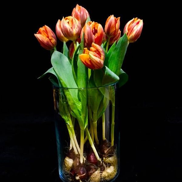 Dauerbegrünung und Blumenschmuck für Firmen von Blumen Flaschka (8)