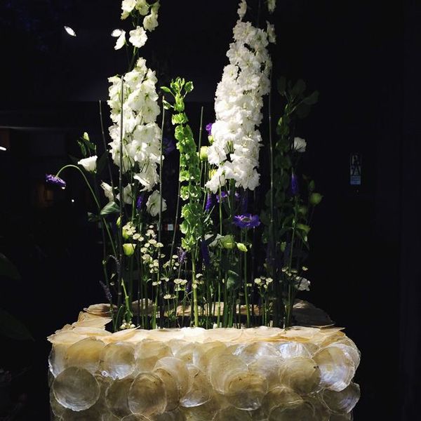 Blumenschmuck für Events und Messen von Blumen Flaschka in Augsburg (3)