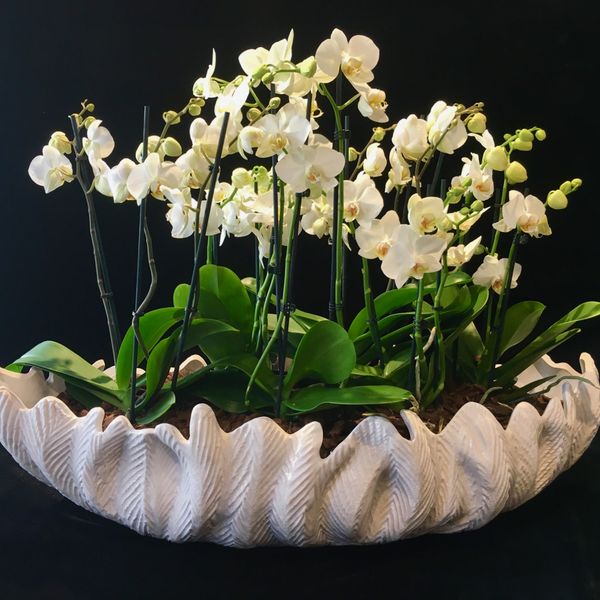 Blumenschmuck für Events und Messen von Blumen Flaschka in Augsburg (6)