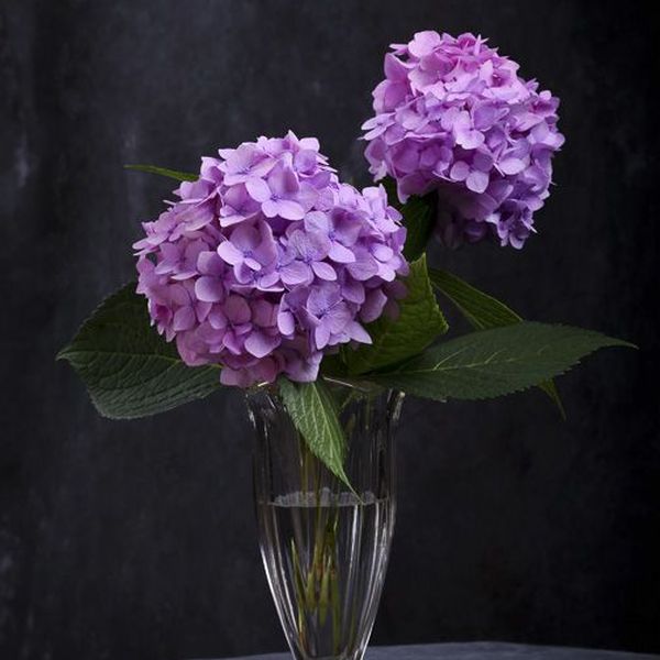 Florale Inspiration von Blumen Flaschka in Augsburg (3)