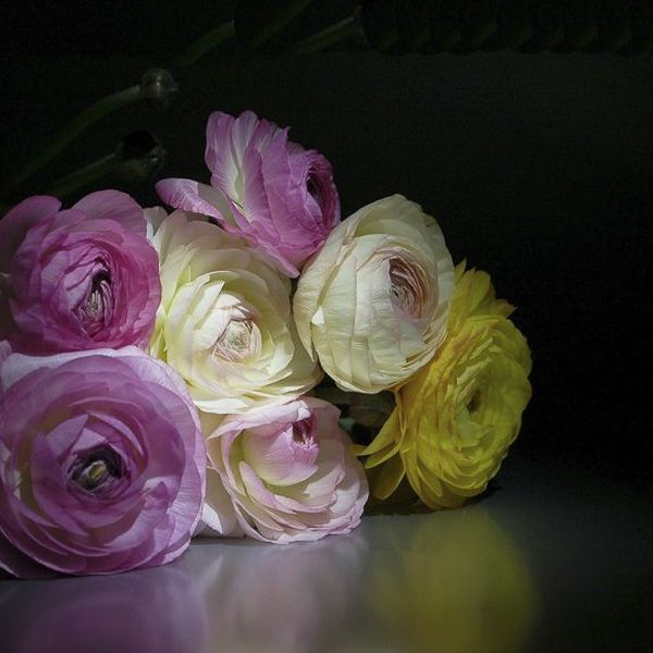 Florale Inspiration von Blumen Flaschka in Augsburg (4)
