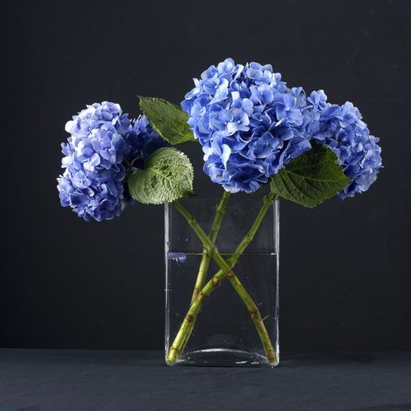 Florale Inspiration von Blumen Flaschka in Augsburg (9)