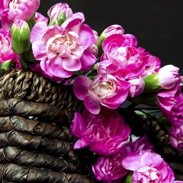 Florale Inspiration von Blumen Flaschka in Augsburg (10)