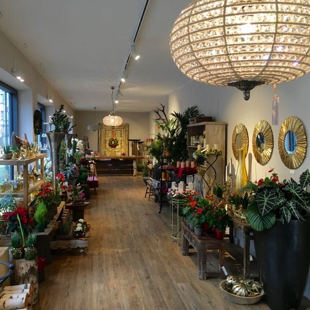 Blick in den Verkaufsraum von Blumen Flaschka mit Pflanzen und Wohnaccessoires