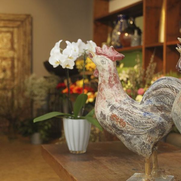 Ladengeschäft von Blumen Flaschka in der Brückenstraße Augsburg (10)