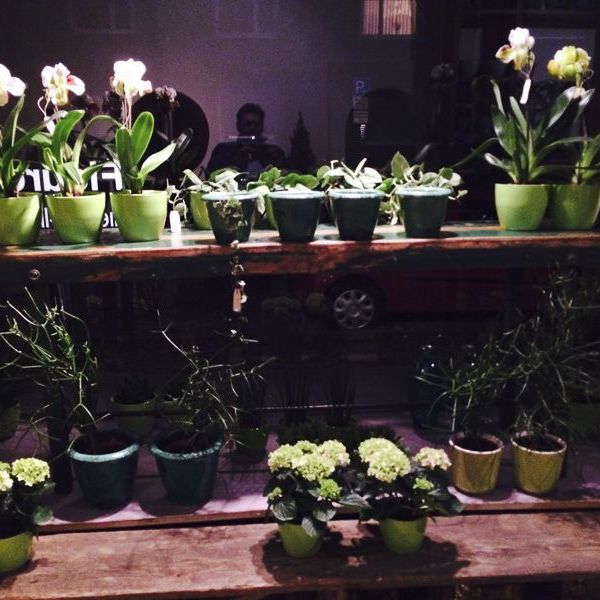 Ladengeschäft von Blumen Flaschka in der Brückenstraße Augsburg (12)